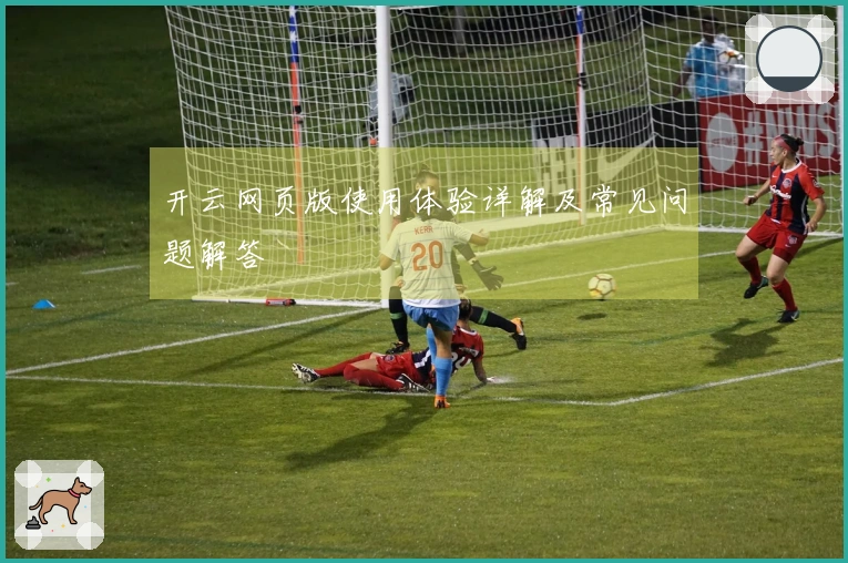 开云网页版使用体验详解及常见问题解答