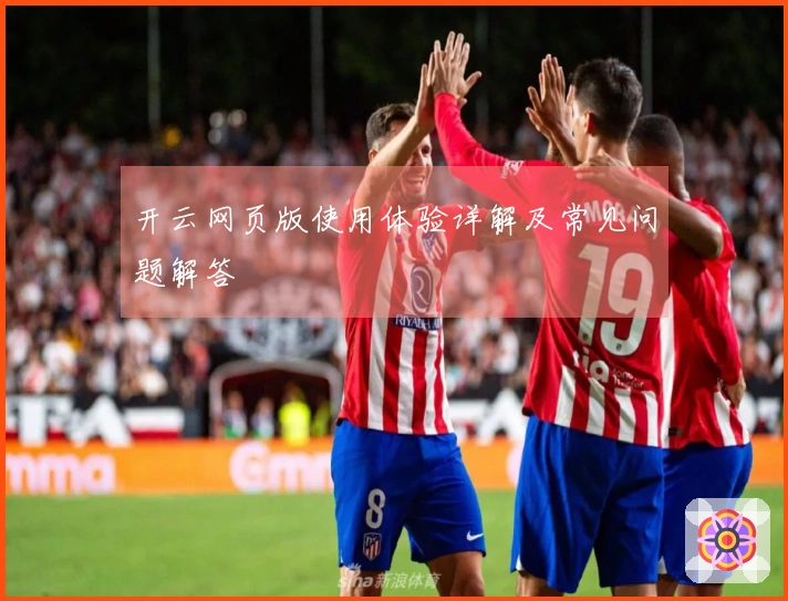 开云网页版使用体验详解及常见问题解答