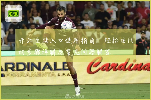 开云主站入口使用指南：轻松访问的步骤详解与常见问题解答